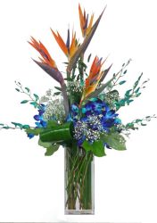 Tropical Paradise 