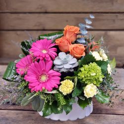 Cheerful blooms