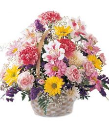 Basket of Cheer