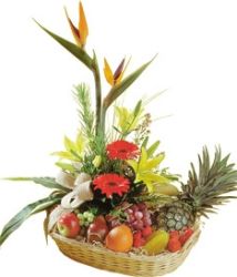 Fruit with Exotics