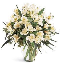 Alstromeria in a Vase 