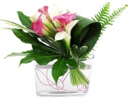 Mini Callas for Mom