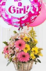 It's a Girl!