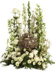 Peaceful Tribute