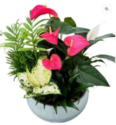 Ceramic Planter