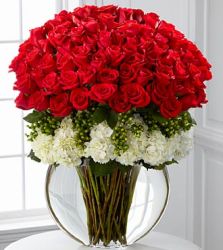 Lavish Luxury Roses
