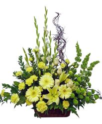 Yellow Sympathy Arrangement