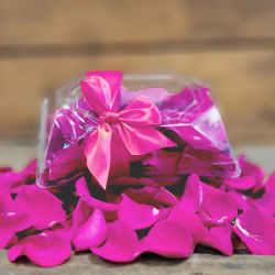 Pink Rose Petals