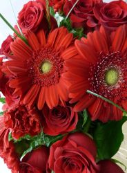 Rich Red  bouquet