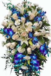 White and blue tribute