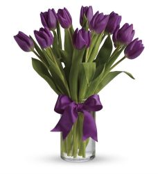 10 Tulips in a Vase