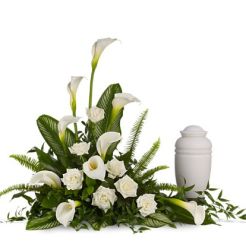 Calla tribute
